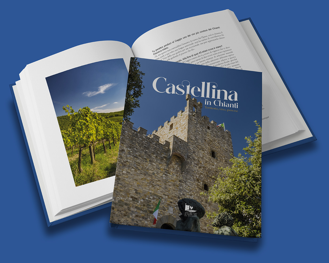 Castellina in Chianti, Territorio, vino, persone.